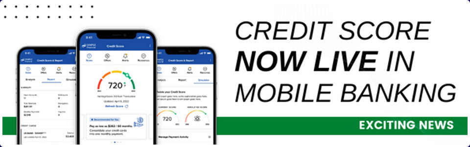Mobile banking savvy money