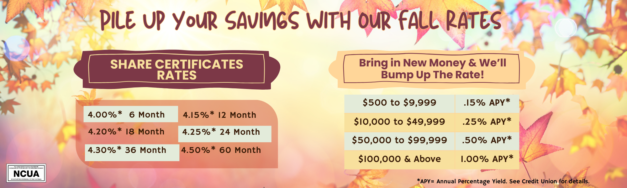 Simplify your debt